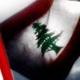 الصورة الرمزية لبنانيه حتى الدم